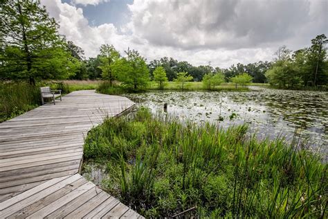 Houston arboretum and nature center - 
